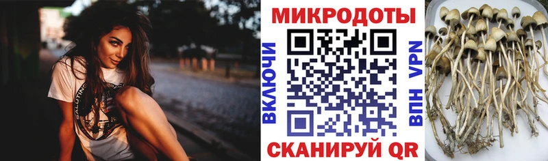 Галлюциногенные грибы ЛСД  Полевской 